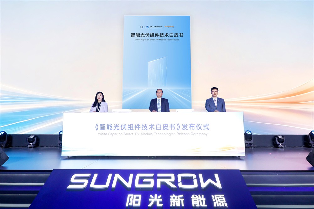 白皮书发布1.jpg